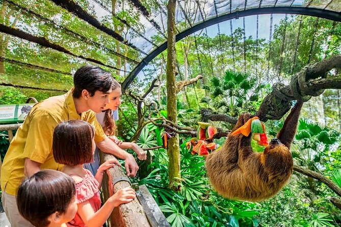 Singapore Zoo & Night Safari Day ( Tickets & Transfer ) - What makes the zoo worth your afternoon