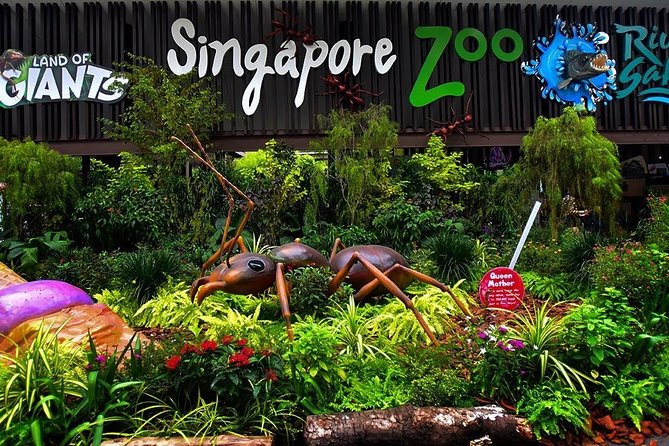 Singapore Zoo & River Wonder Day Ticket & Transfer - Getting to Mandai with a small-group transfer
