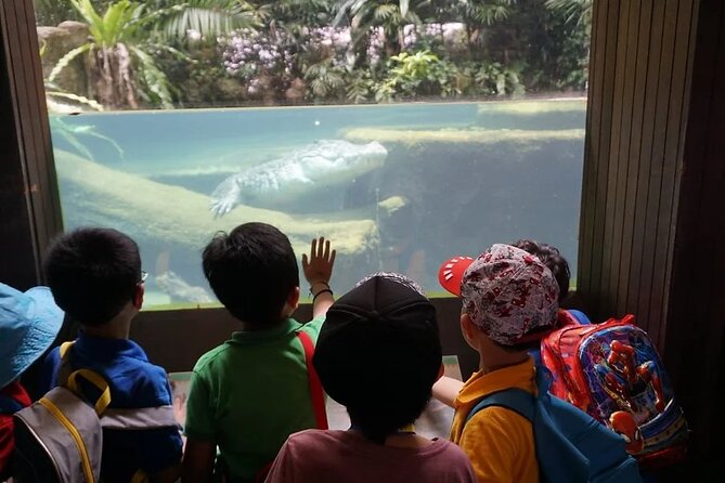 Singapore Zoo with Tram Ride Experience for Tourist - Taking the tram through the zoo