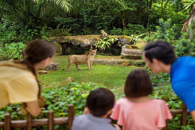 Singapore Zoo with Tram Ride Experience for Tourist - Who will enjoy this zoo visit most?