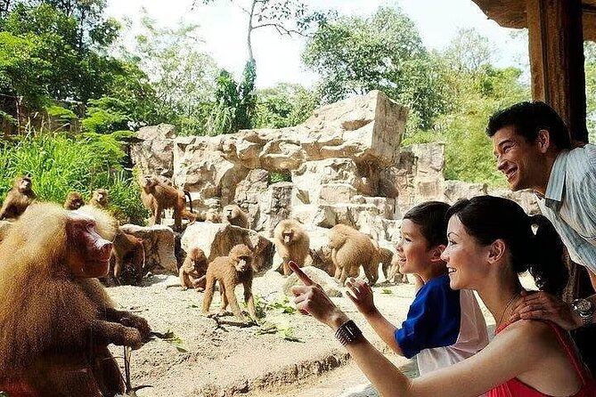 Singapore Zoo with Tram Ride Experience for Tourist - Planning four to six hours inside the zoo