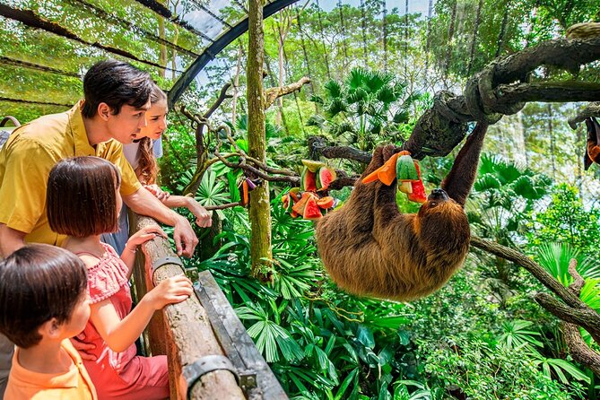 Singapore Zoo - Elephants, tigers, and the less predictable sightings