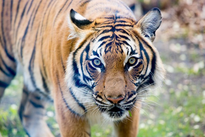 Skip the Line: Daily Admission at Woodland Park Zoo Ticket - Zoomazium Makes the Zoo Easier with Young Children