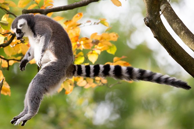 Skip the Line: Daily Admission at Woodland Park Zoo Ticket - Who Should Book This Zoo Visit?