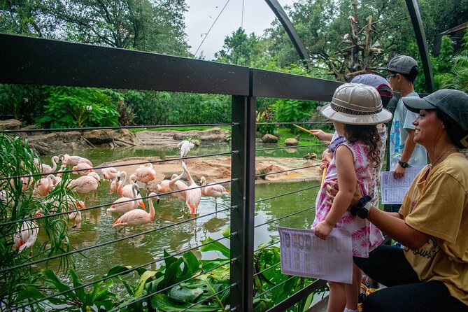 Skip The Line Houston Zoo Admission Ticket - Key points to know before you go