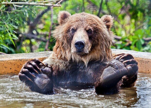 Skip the Line: Kamloops BC Wildlife Park Admission Ticket - Key points to know before you go