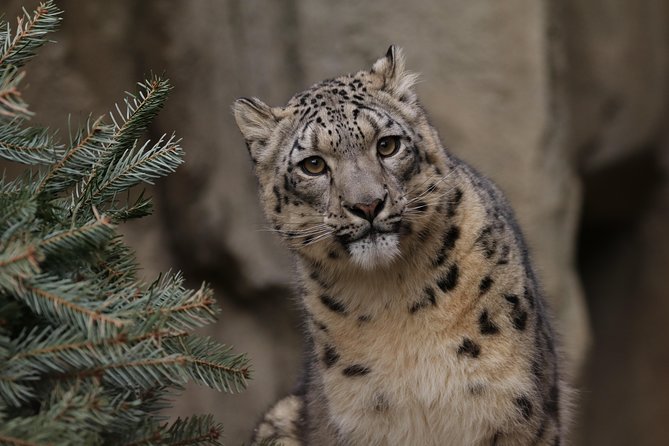 Skip the Line: Miller Park Zoo General Admission Ticket - Key points at a glance