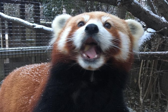 Skip the Line: Miller Park Zoo General Admission Ticket - What your admission includes