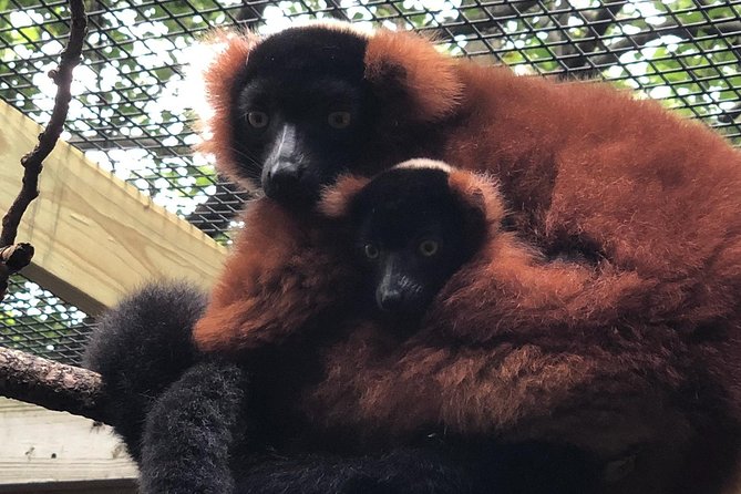 Skip the Line: Miller Park Zoo General Admission Ticket - A closer look at the one-stop itinerary
