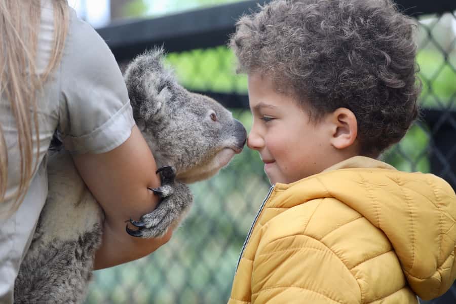 Somersby: Australian Reptile Park Day Pass - 9am to 5pm - A New Venom Centre and Conservation Work