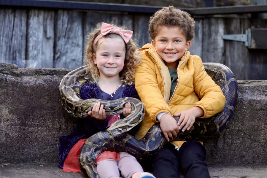 Somersby: Australian Reptile Park Day Pass - 9am to 5pm - Lunch at the Hard Croc Café or the BBQs