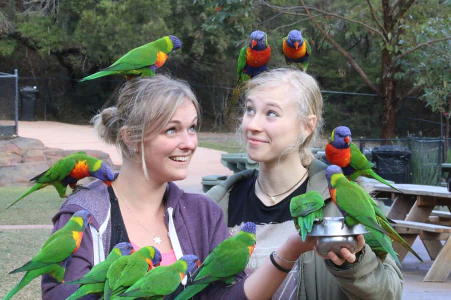 Somersby: Australian Reptile Park Day Pass - 9am to 5pm - Is the $38 Ticket Good Value?