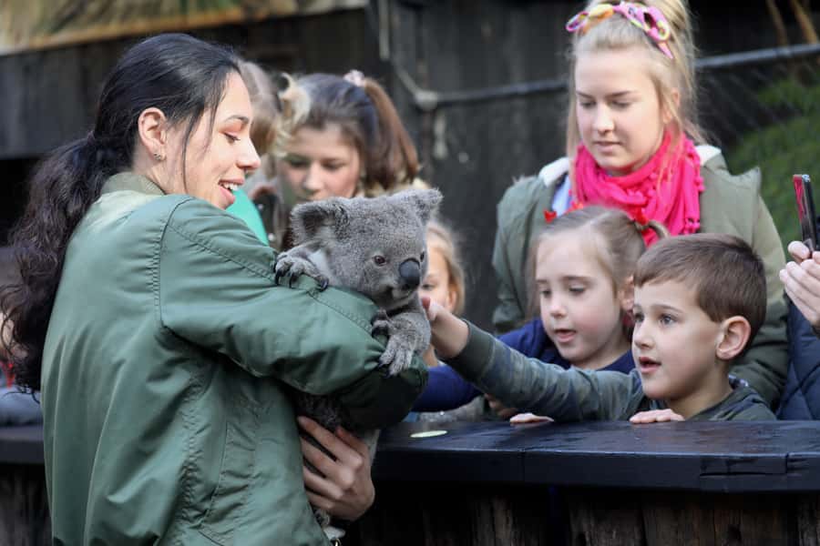 Somersby: Australian Reptile Park Day Pass - 9am to 5pm - Meet Elvis, the Crocodile With an Attitude