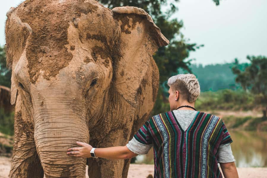South Africa from Joburg: Elephant Sanctuary Half Day Tour - Entering the Elephant Sanctuary at Hartbeespoort