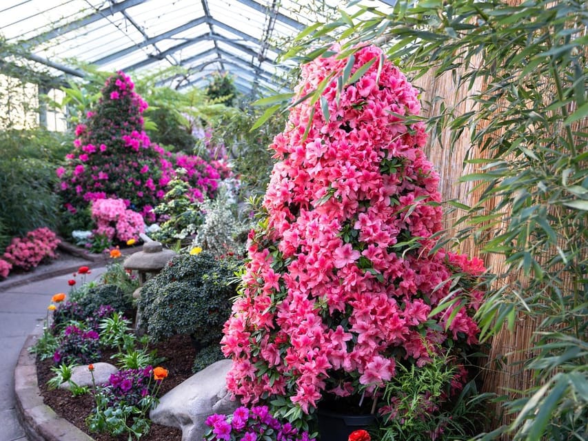 Stuttgart: Wilhelma Zoological-Botanical Garden Ticket - Botanical highlights beyond the animal enclosures