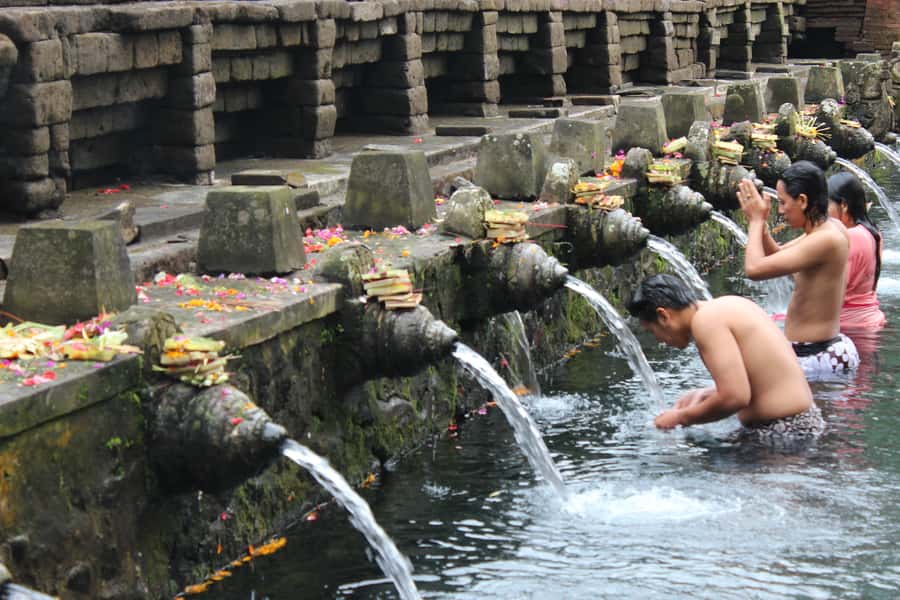 Sunrise Breakfest at kintamani cafe & Ubud private Tour - A walk among Ubud’s long-tailed macaques