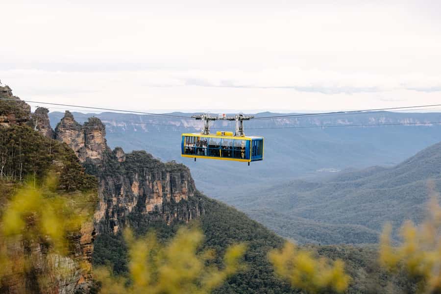 Sydney: Blue Mountains Scenic World, Wildlife Park and Lunch - Why this Blue Mountains day works