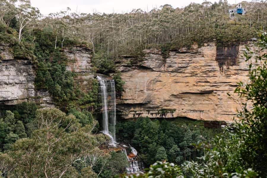 Sydney: Blue Mountains Scenic World, Wildlife Park and Lunch - Lunch with practical dietary choices