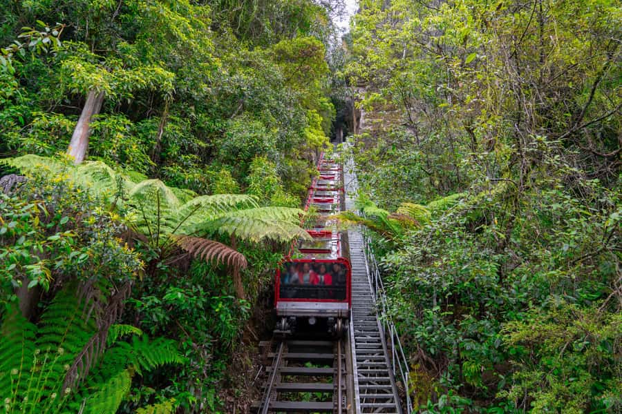 Sydney: Blue Mountains, Scenic World, Zoo & Lincoln's Rock - Scenic World: three rides, one big mountain view