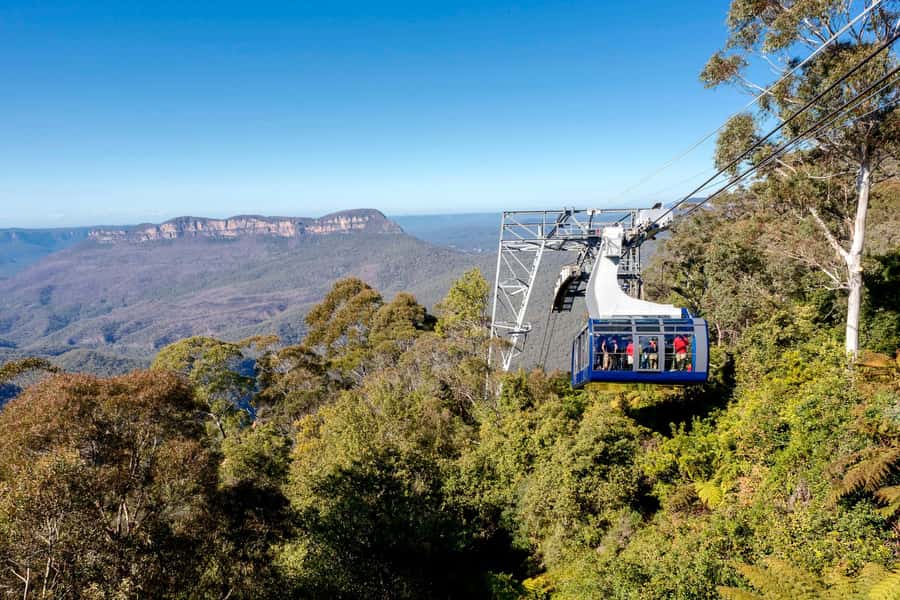 Sydney: Blue Mountains, Scenic World, Zoo & Lincoln's Rock - Sydney Zoo brings in the wildlife