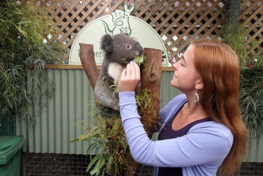 Sydney: Featherdale Wildlife Park Private Tour - Is the private tour really private?