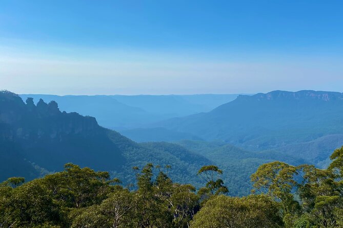 Sydney: PRIVATE Blue Mountains, Wildlife & Cruise Luxe Tour (10h) - Wildlife time with koalas, kangaroos, and wombats