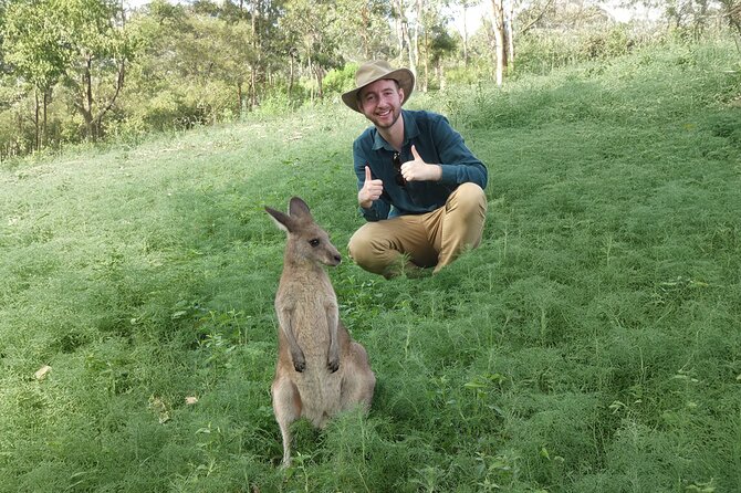 Sydney: PRIVATE Blue Mountains, Wildlife & Cruise Luxe Tour (10h) - What the private luxury setup really gives you