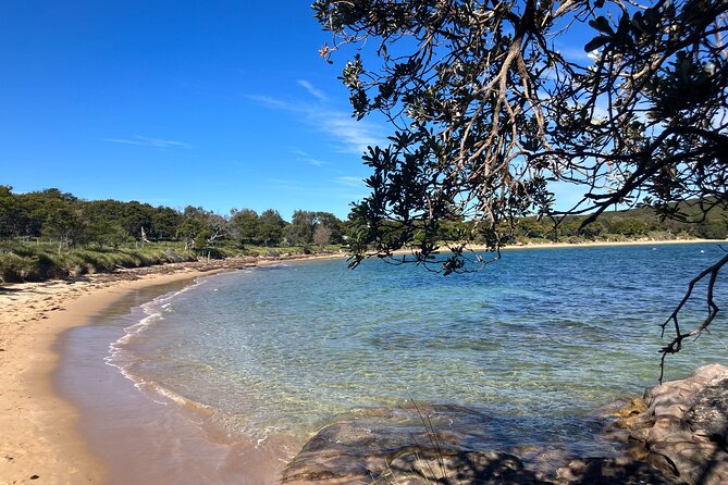 Sydney Private Tour Inc The Royal National Park and Symbio Zoo - Sea Cliff Bridge, a final walk over the water