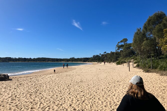 Sydney Private Tour Inc The Royal National Park and Symbio Zoo - What the vehicle and private format add