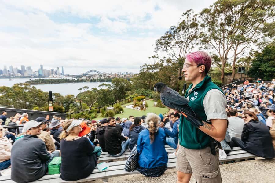 Sydney: Taronga Zoo Tickets - Why Taronga Zoo works so well for a Sydney day