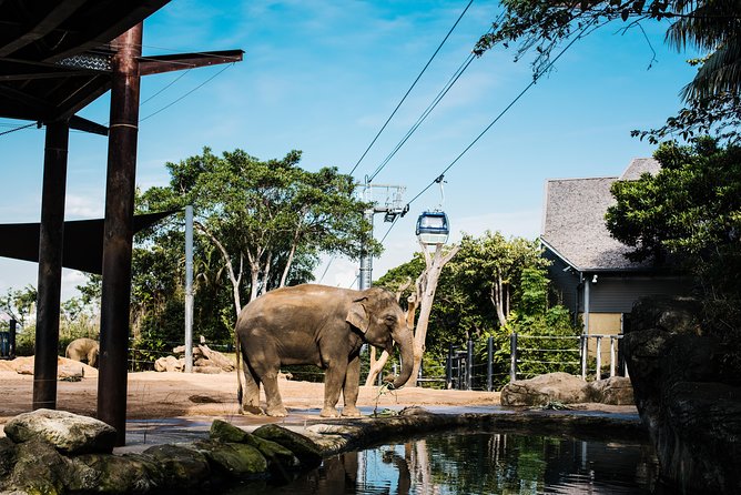Sydney Taronga Zoo Wild Australia Experience - What makes the Wild Australia tour different