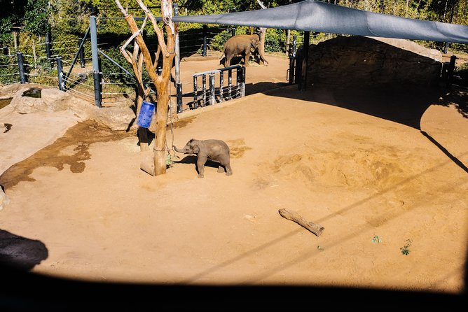 Sydney Taronga Zoo Wild Australia Experience - A working zoo kitchen, not just an animal display