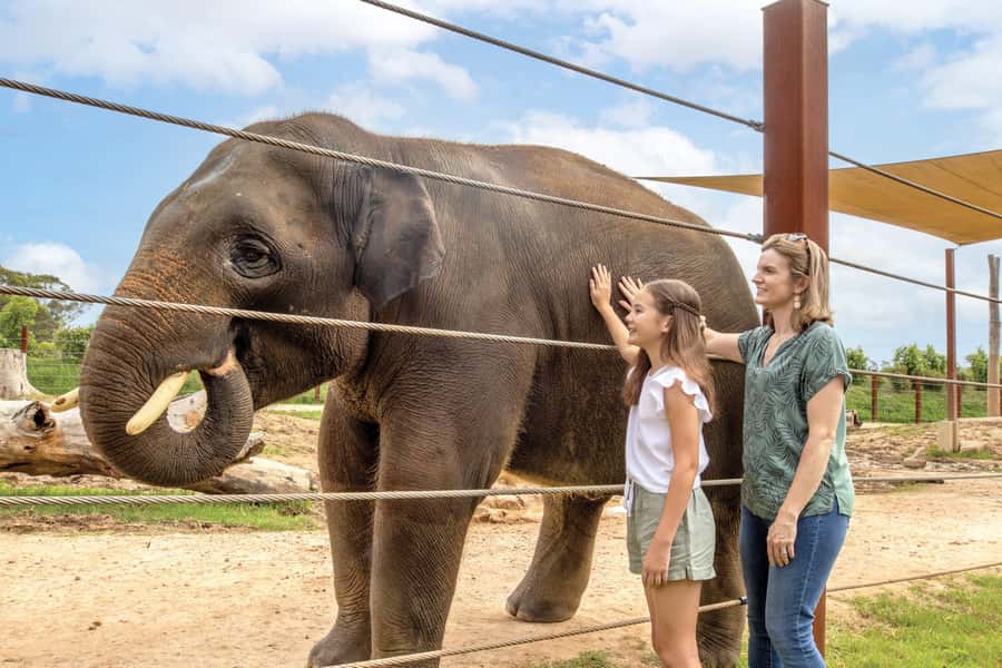 Sydney Zoo Admission Ticket - Bungarribee Dreaming and First Nations Culture