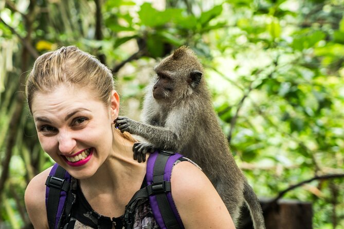 Tanah Lot Tour with Ubud Monkey Forest, Rice Terraces, and Waterfalls - What this private Bali day actually covers