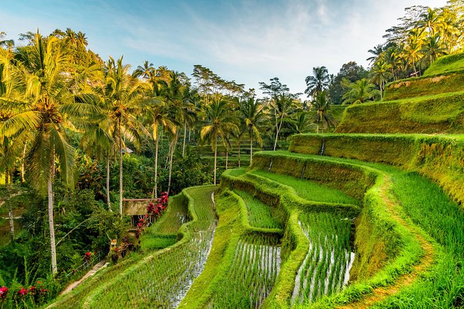 Tanah Lot Tour with Ubud Monkey Forest, Rice Terraces, and Waterfalls - Tanah Lot: Bali’s coastal showpiece
