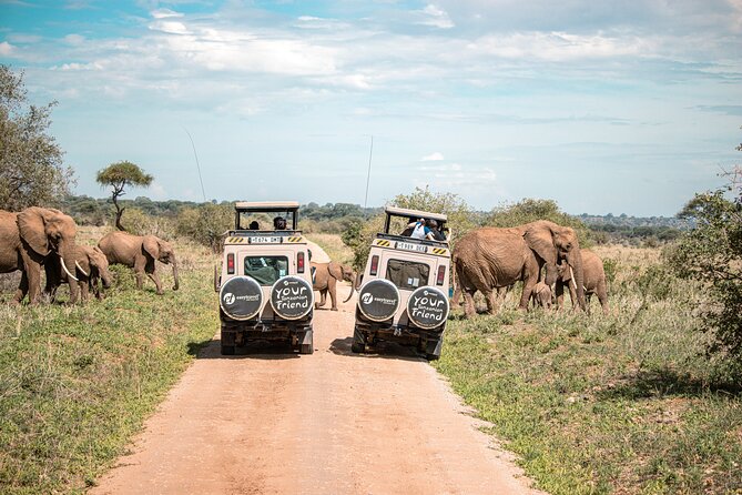 Tanzania Wildlife Encounters - 6 Days - Why this six-day route works