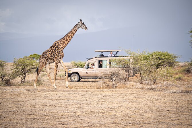 Tanzania Wildlife Encounters - 6 Days - Day 4: A full Serengeti game-drive day
