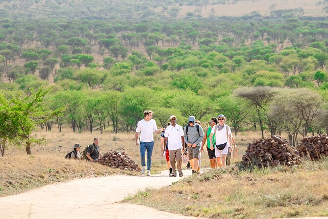 Tanzania Wildlife Encounters - 6 Days - Day 5: One last Serengeti morning, then Ngorongoro