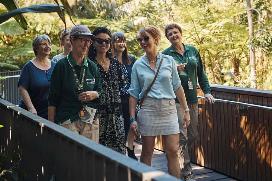 Taronga Zoo Aussie Backyard Adventure - Why the Australian animals are the real attraction