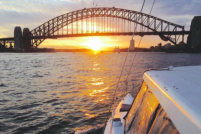 Taronga Zoo Entry & Return Ferry - Sydney Harbour - Keeper talks, seals, and the bird show