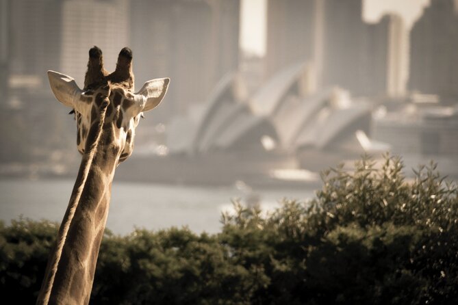 Taronga Zoo Entry & Sydney Harbour 2-Day Hop On Hop Off Cruise - Give Taronga Zoo at least four hours