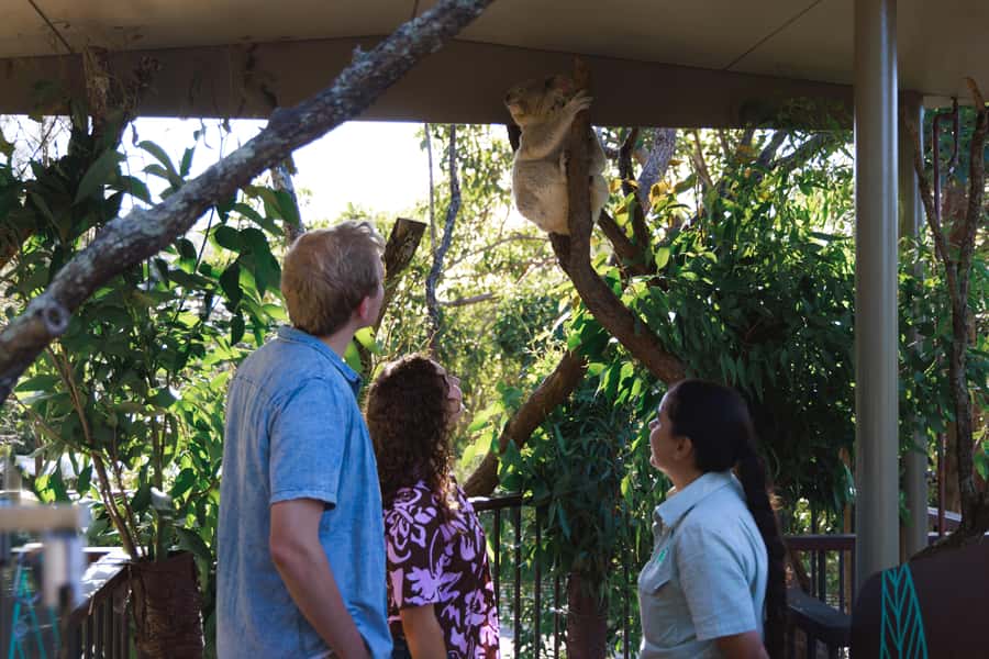 Taronga Zoo Sydney Wild Australia Experience - Key points to know before you book