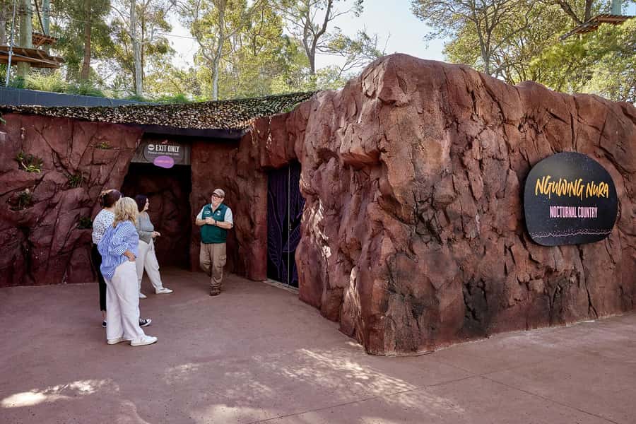 Taronga Zoo Sydney Wild Australia Experience - Platypuses, echidnas, and the animals you might miss
