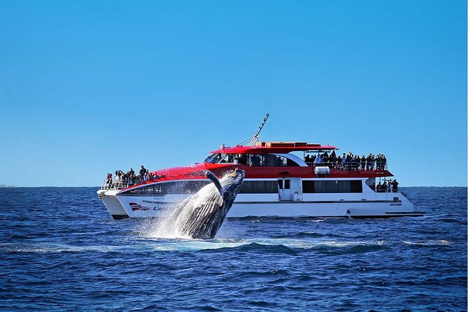Taronga Zoo & Whale Watching Cruise Combo - Sydney Harbour - Key points to know before you book
