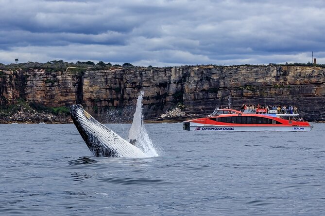 Taronga Zoo & Whale Watching Cruise Combo - Sydney Harbour - Why this combo works well in Sydney