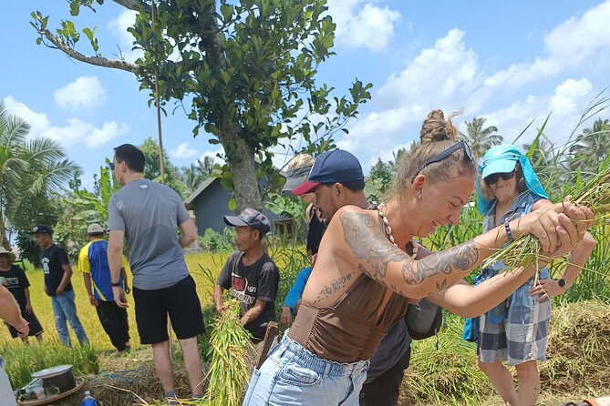 Tetebatu Guided Tour in Rice Terraces Waterfall and Monkey Forest - What the $75 price really covers
