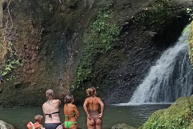Tetebatu Guided Tour in Rice Terraces Waterfall and Monkey Forest - Timing, pickup, and walking demands