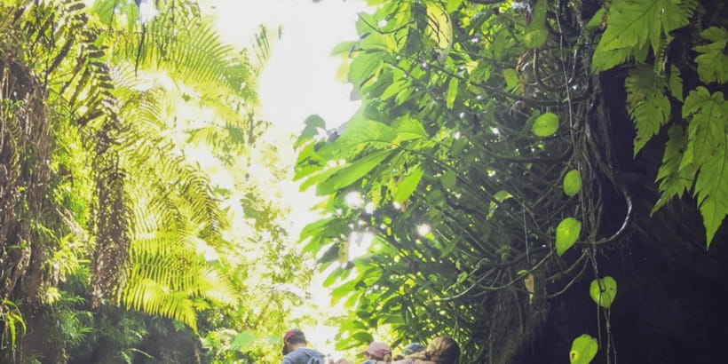 Tetebatu: Rice Fields, Waterfall, & Monkey Forest Day Tour - Local homes, coffee, coconut oil, and spices