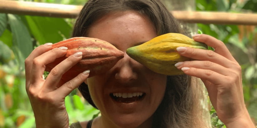 Tetebatu: Rice Fields, Waterfall, & Monkey Forest Day Tour - What the $66 price really covers