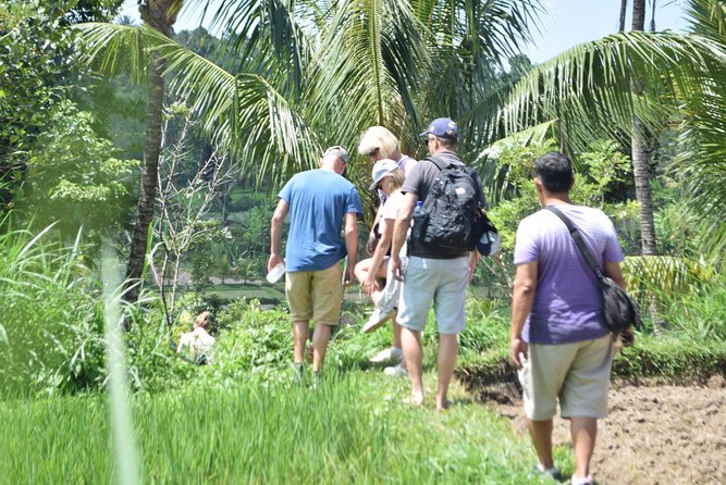 Tetebatu Walking Tour - Rice Terraces, Waterfall & Monkey Forest - Why Tetebatu is worth a full day